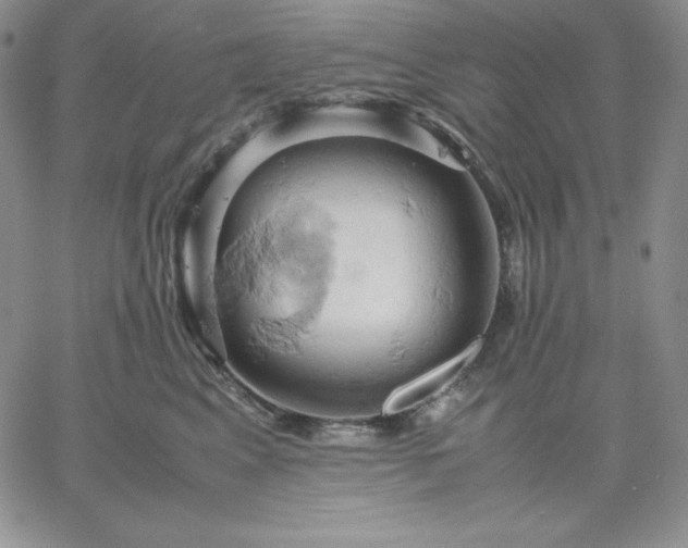 X0000061740617200512091612