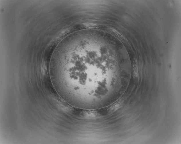 X0000061740618200512091612