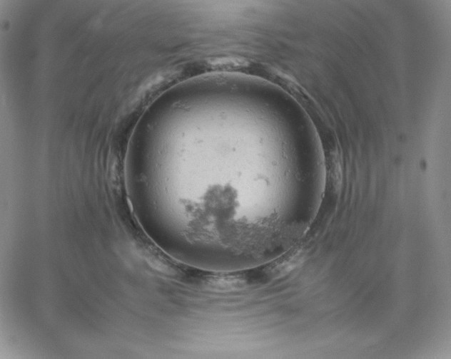 X0000061740619200512091612