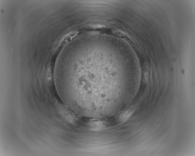 X0000061740620200512091612