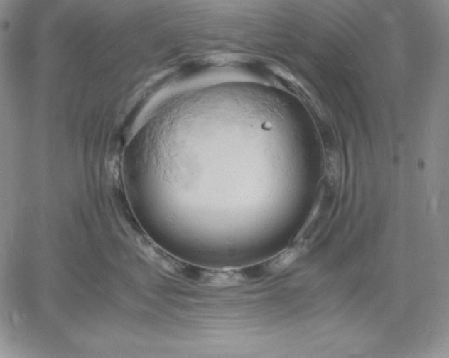 X0000061740621200512091612