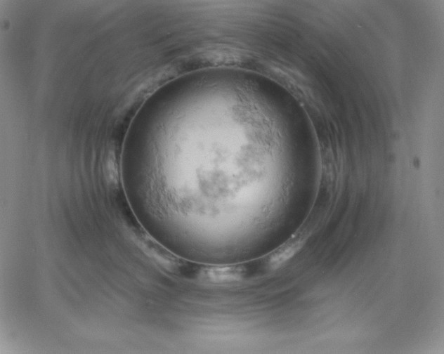 X0000061740622200512091612