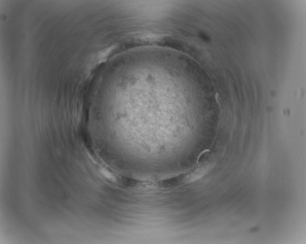 X0000061740624200512091612