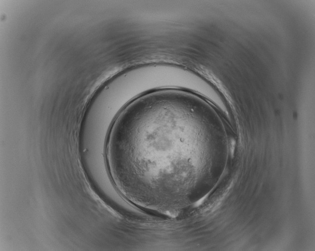 X0000061740625200512091611