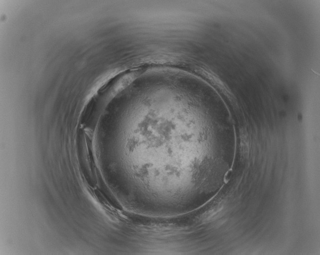 X0000061740626200512091611