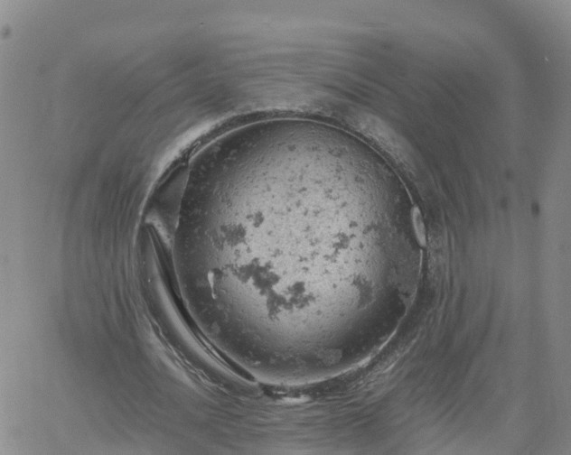 X0000061740628200512091611