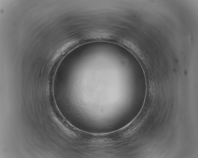 X0000061740629200512091611