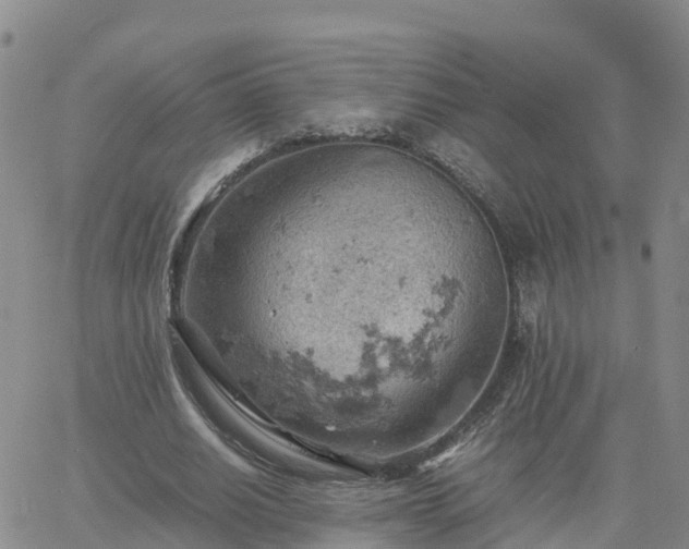 X0000061740630200512091611