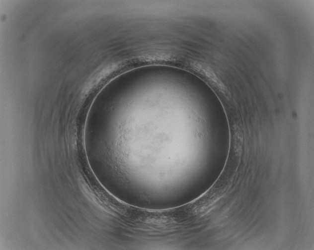 X0000061740631200512091611