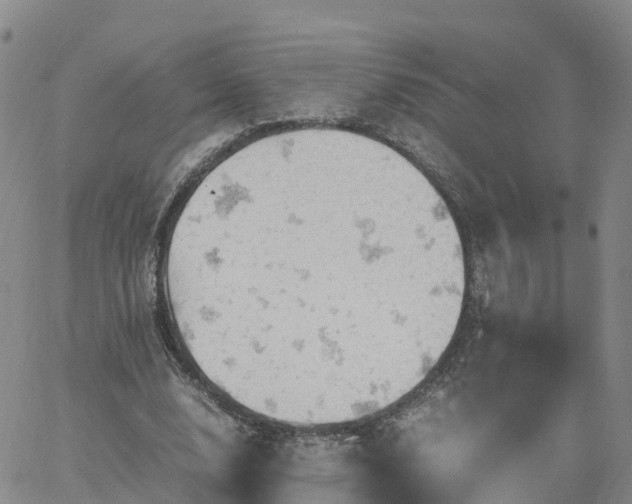 X0000061740632200512091611