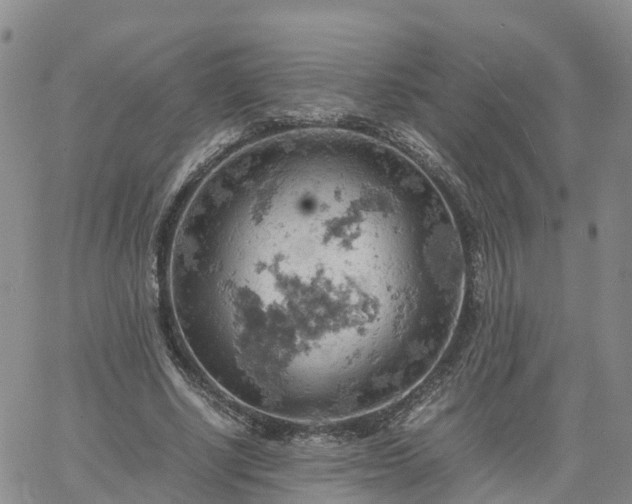 X0000061740634200512091611