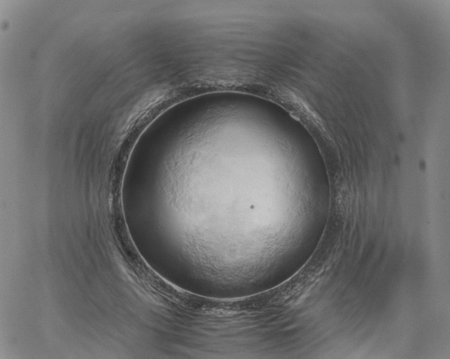 X0000061740635200512091611