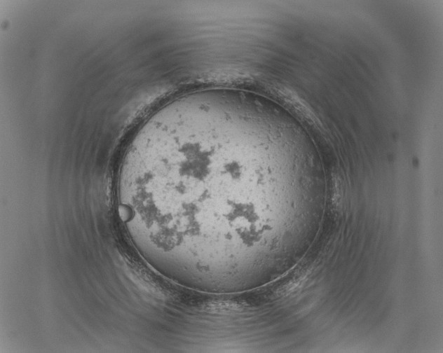 X0000061740636200512091611