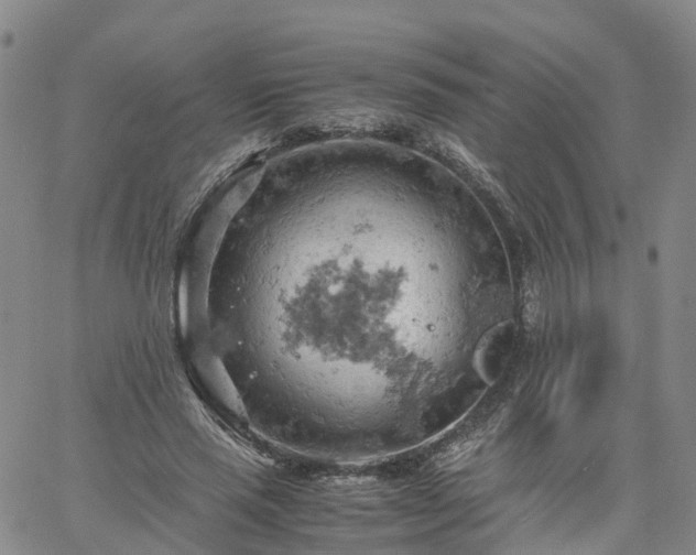 X0000061740637200512091611