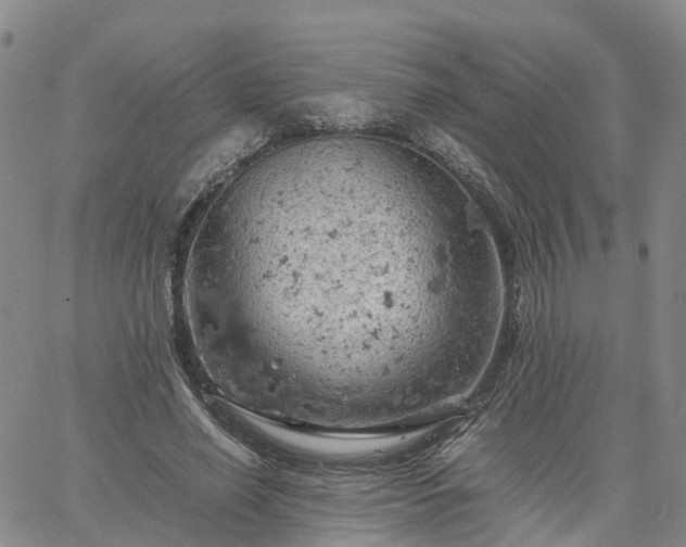 X0000061740638200512091611