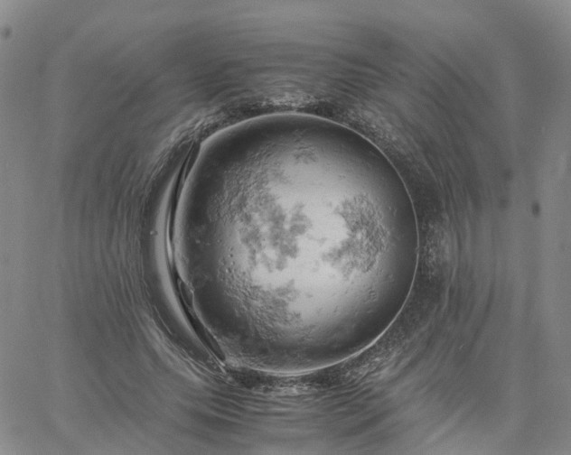 X0000061740639200512091611