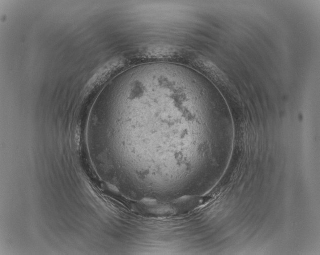 X0000061740640200512091611