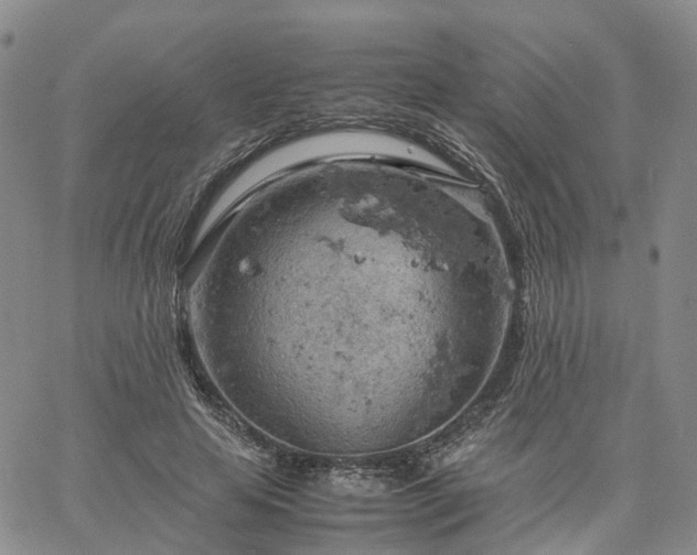 X0000061740641200512091611