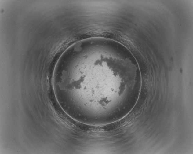 X0000061740642200512091611