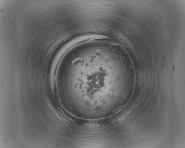 X0000061740644200512091611