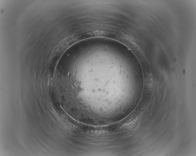 X0000061740645200512091611