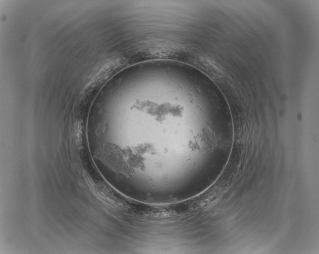 X0000061740646200512091611