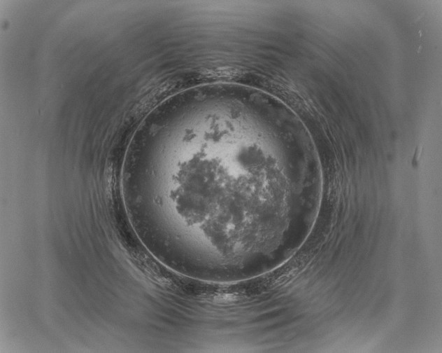 X0000061740647200512091611