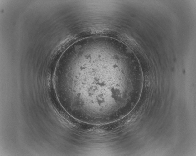 X0000061740648200512091611