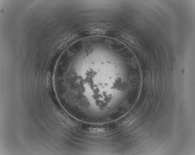 X0000061740649200512091611