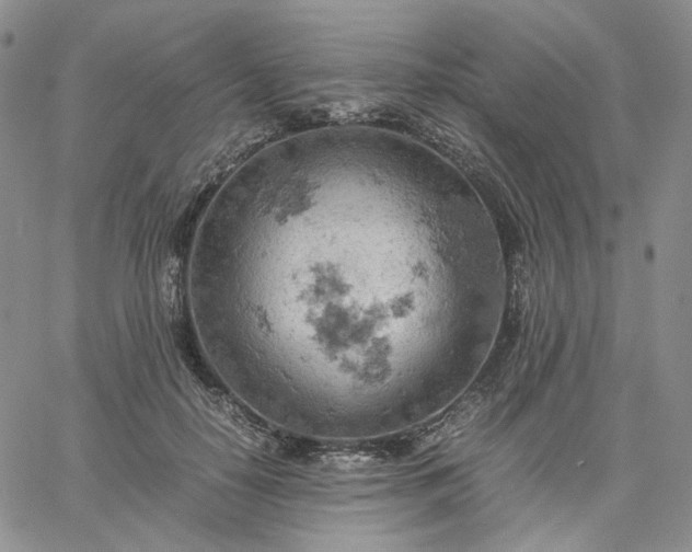 X0000061740650200512091611