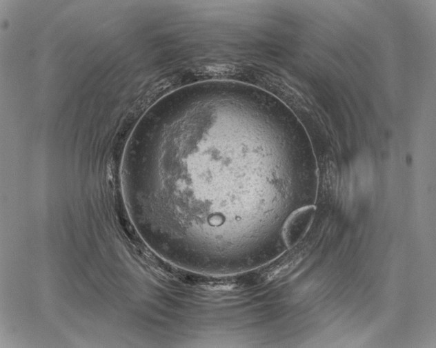 X0000061740651200512091611