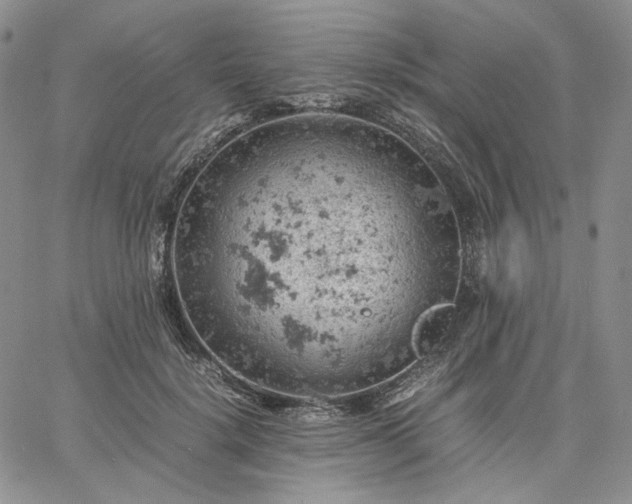 X0000061740652200512091611