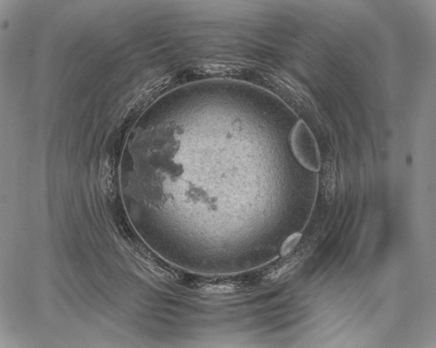 X0000061740653200512091611