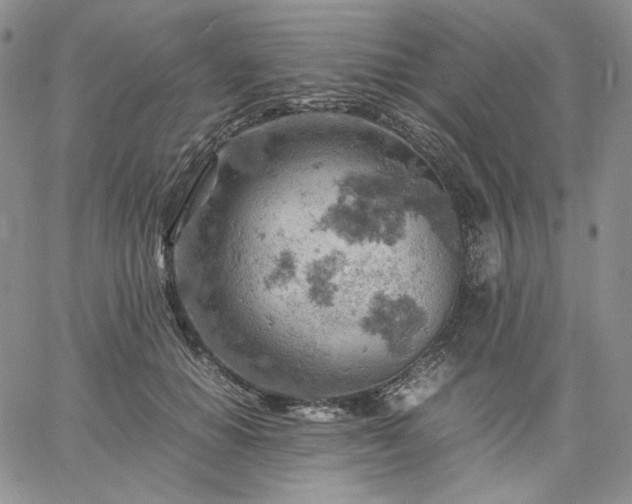 X0000061740654200512091611