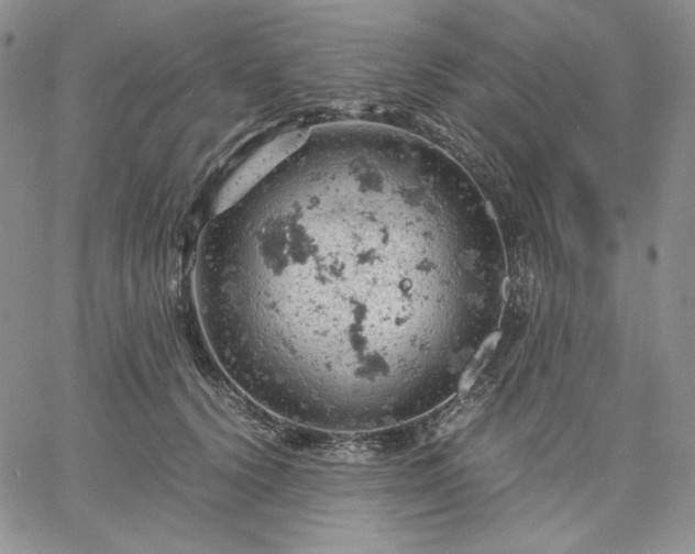 X0000061740656200512091611