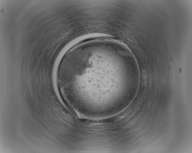 X0000061740657200512091612