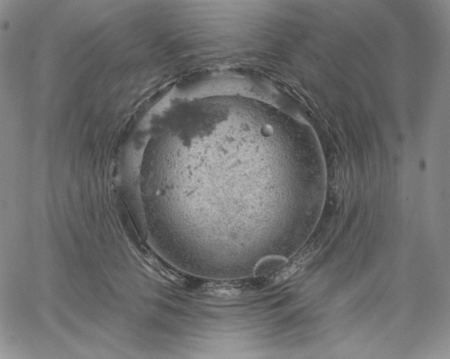 X0000061740658200512091612