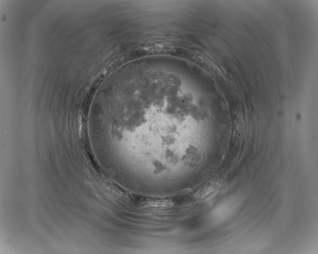 X0000061740659200512091612