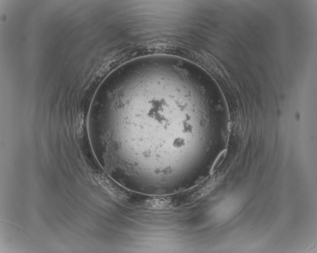 X0000061740660200512091612