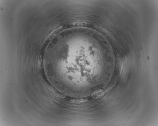 X0000061740661200512091612