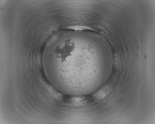 X0000061740662200512091612