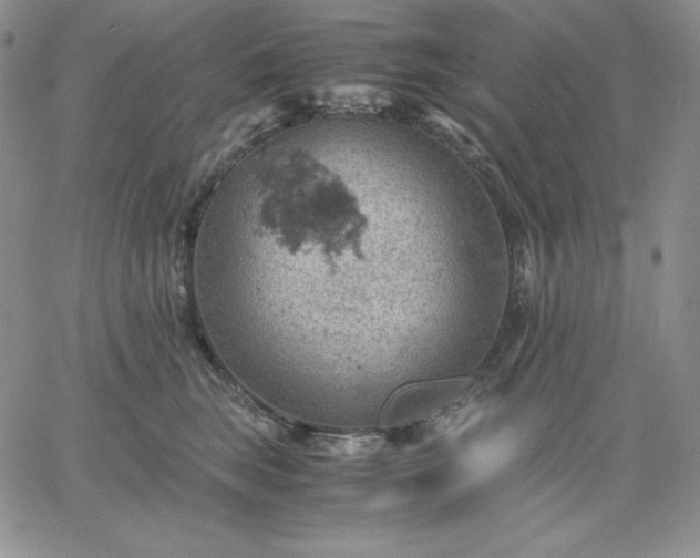 X0000061740663200512091612