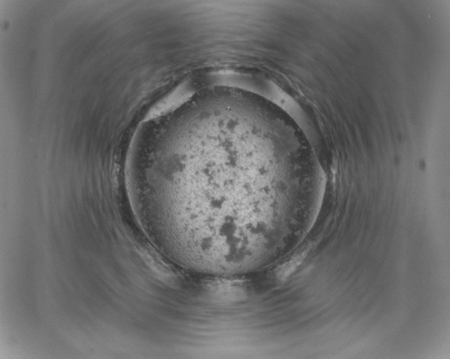 X0000061740664200512091612