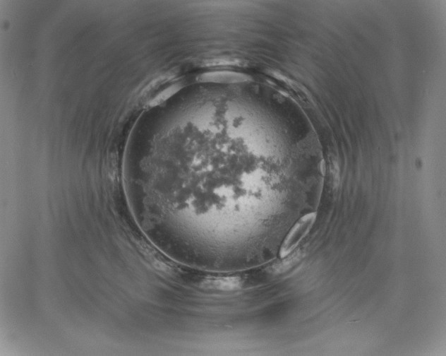 X0000061740665200512091612