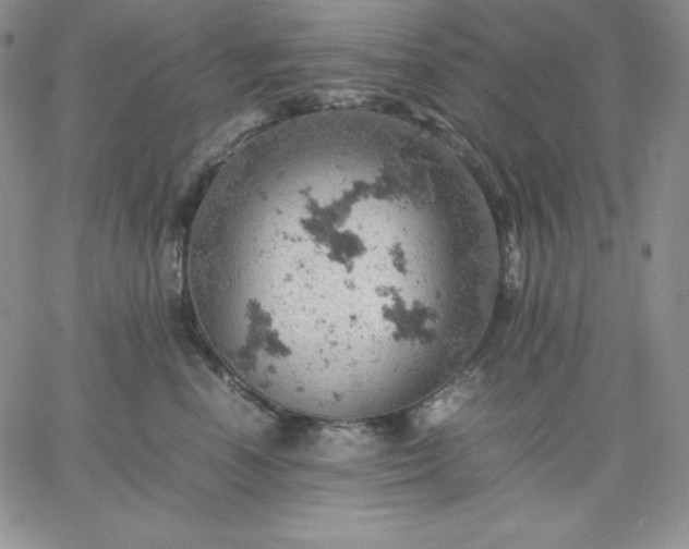 X0000061740666200512091612