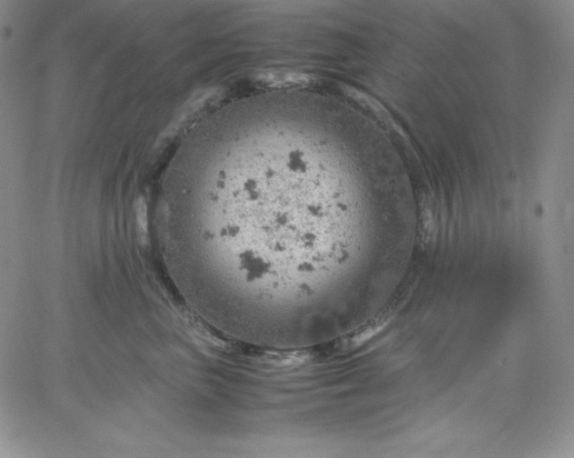 X0000061740667200512091612