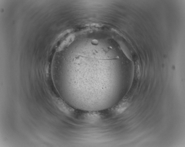 X0000061740668200512091612