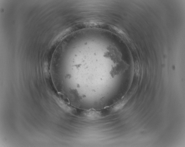 X0000061740670200512091612