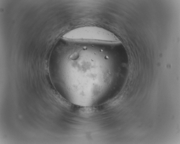 X0000061740672200512091612