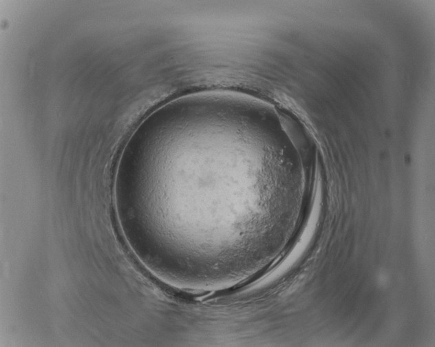 X0000061740673200512091611